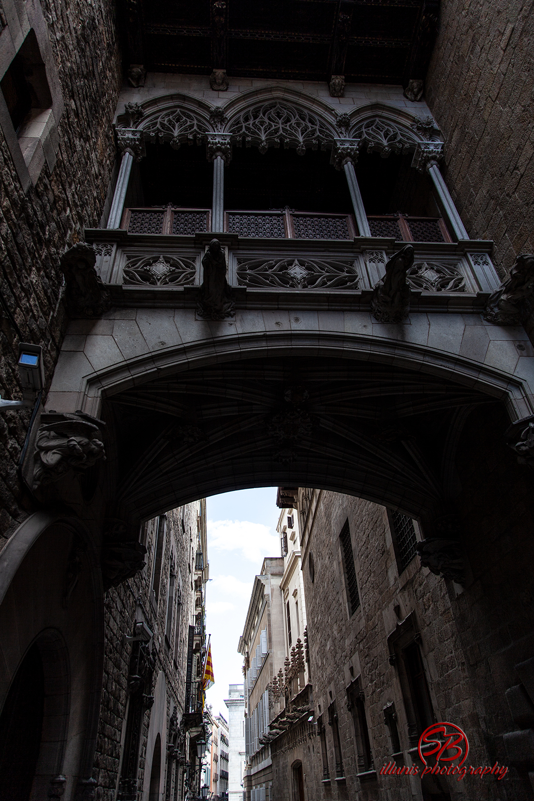 IMG 95161