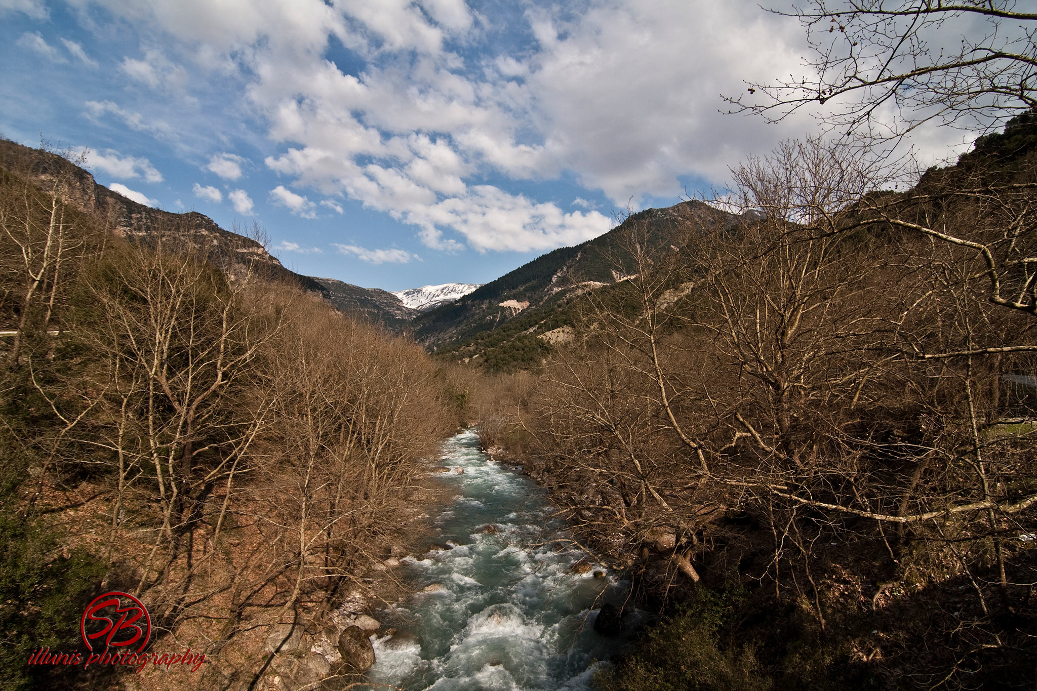 IMG 7017