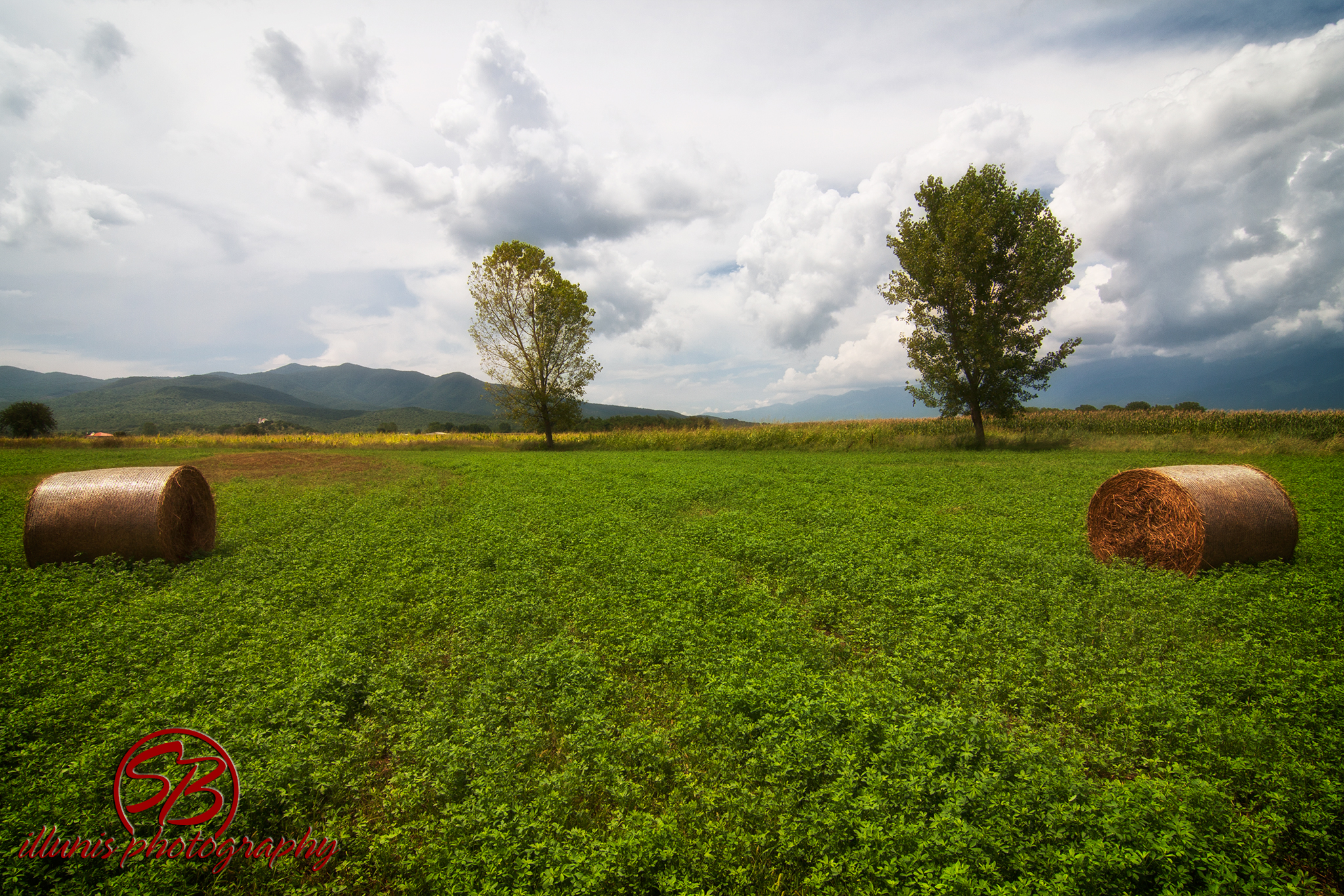 Makedonia