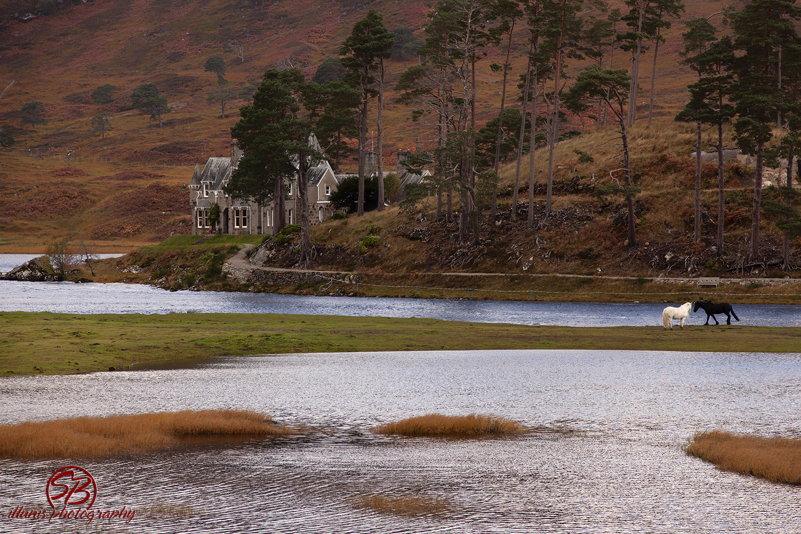  Glen Affric