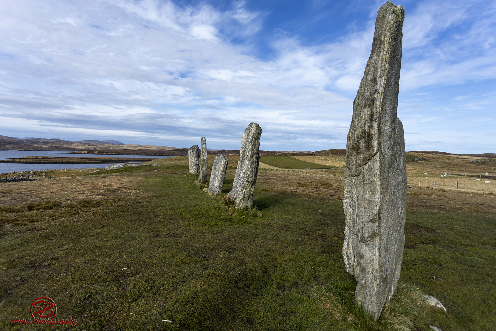 SB L2082