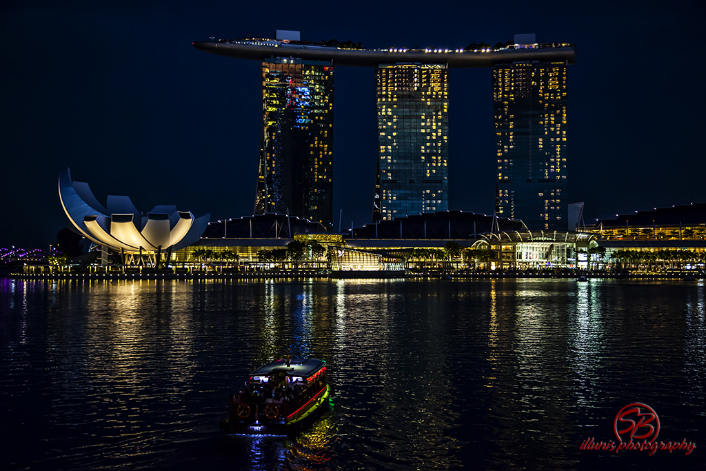 IMG 5453
