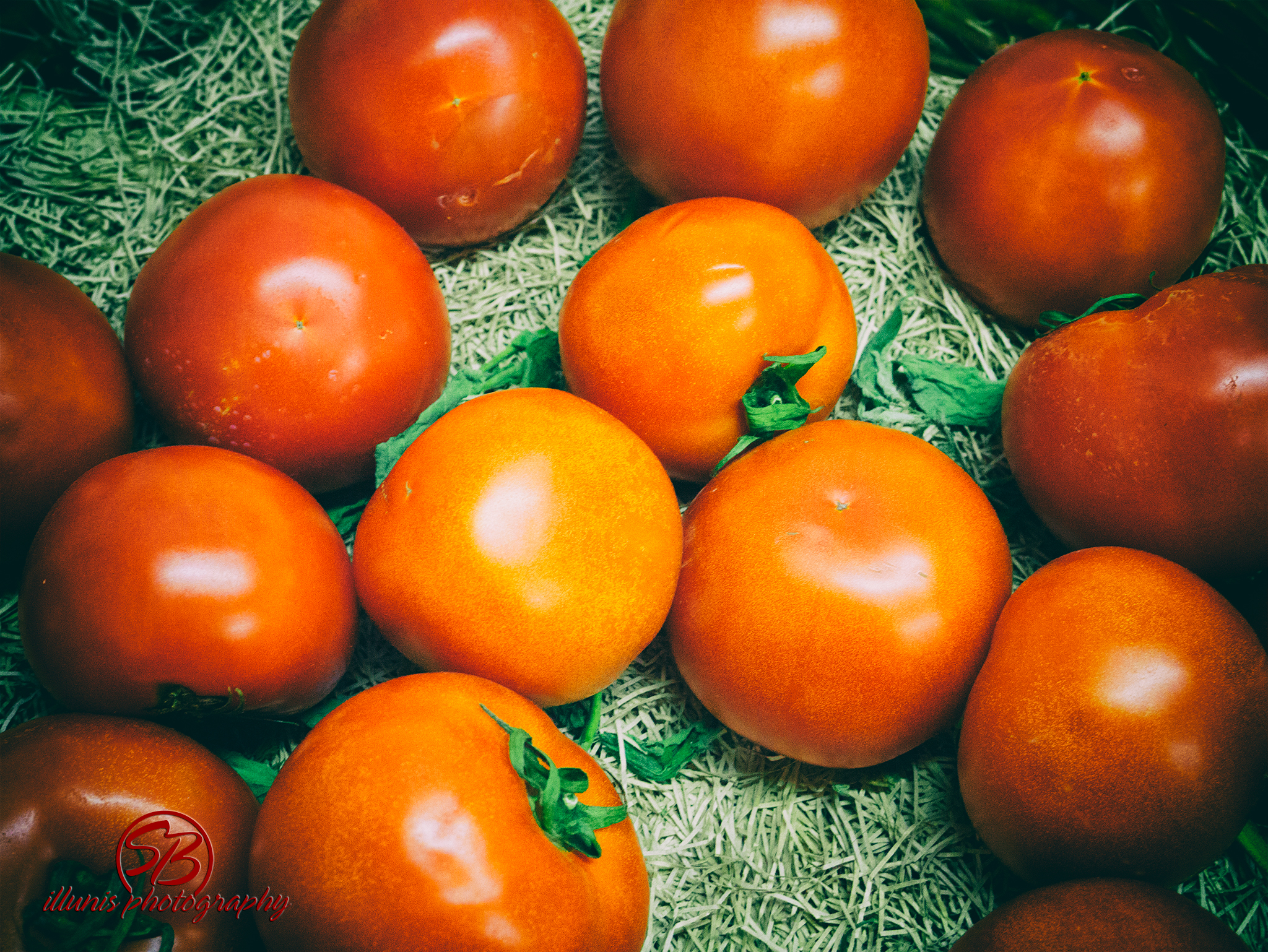 Tomato