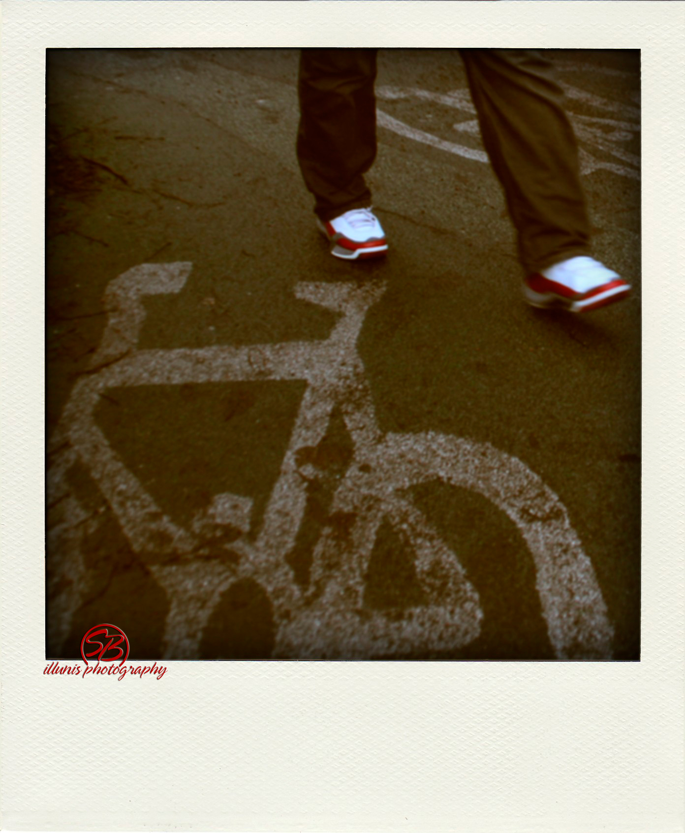 IMG 0309 pola
