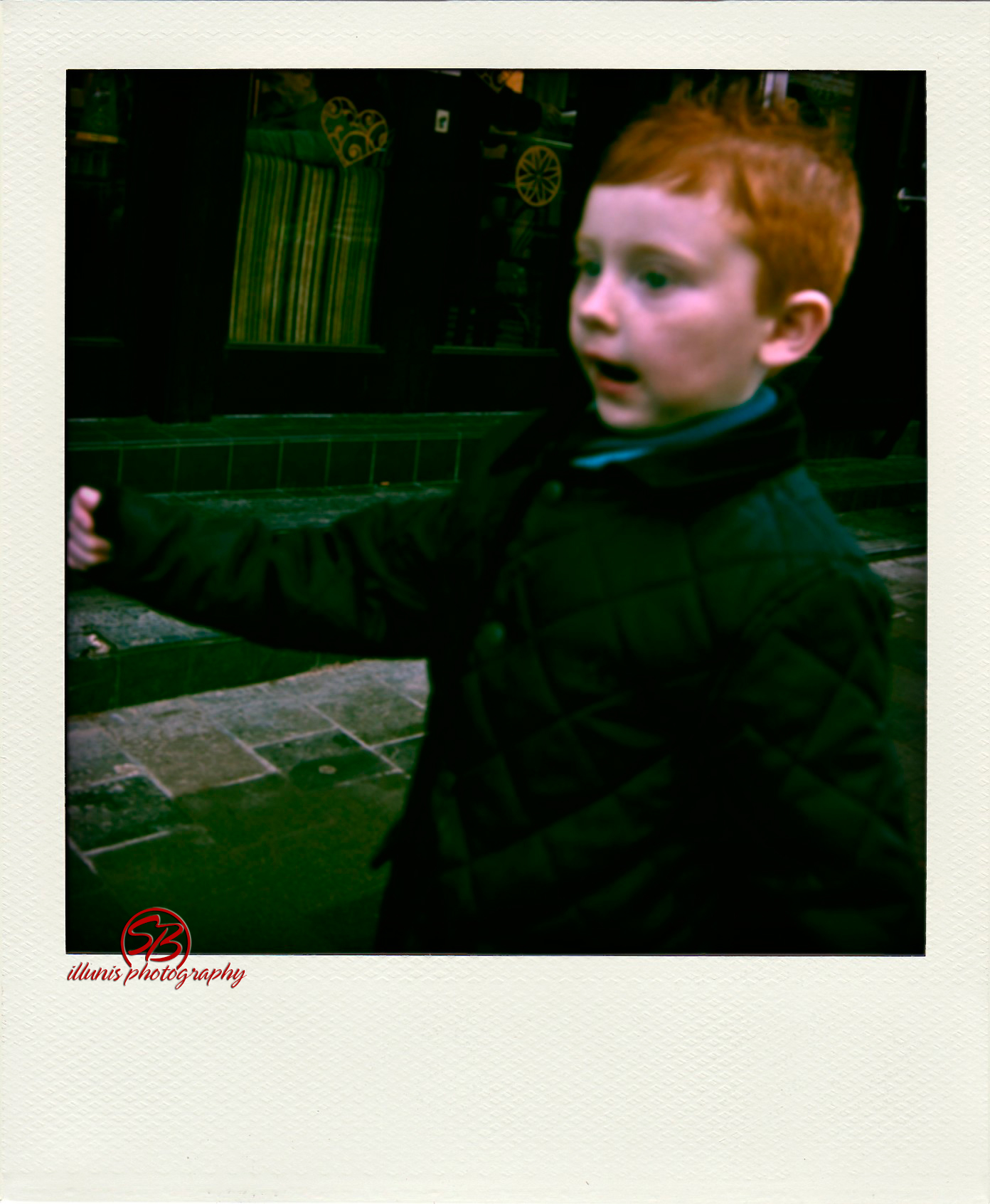 IMG 9939 pola